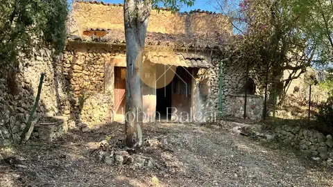 Photo of the property 2