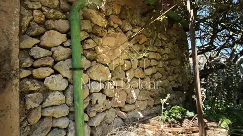 Photo of the property 3