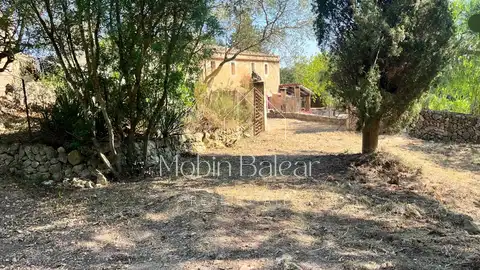 Photo of the property 5