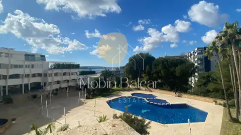 Photo of the property 4