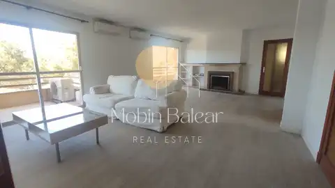 Photo of the property 3
