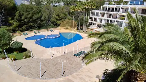 Photo of the property 2