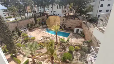 Photo of the property 5