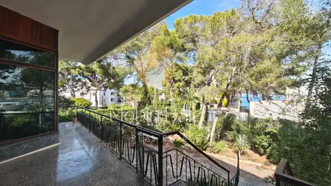 Foto de la propiedad 2