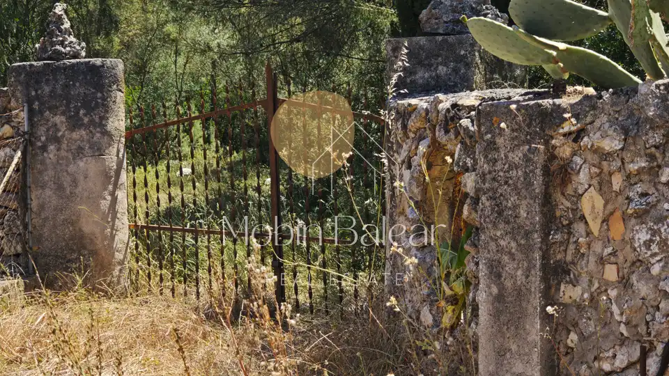 Photo of the property 1