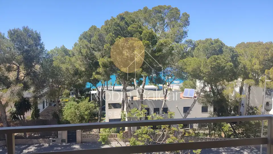 Photo of the property 1